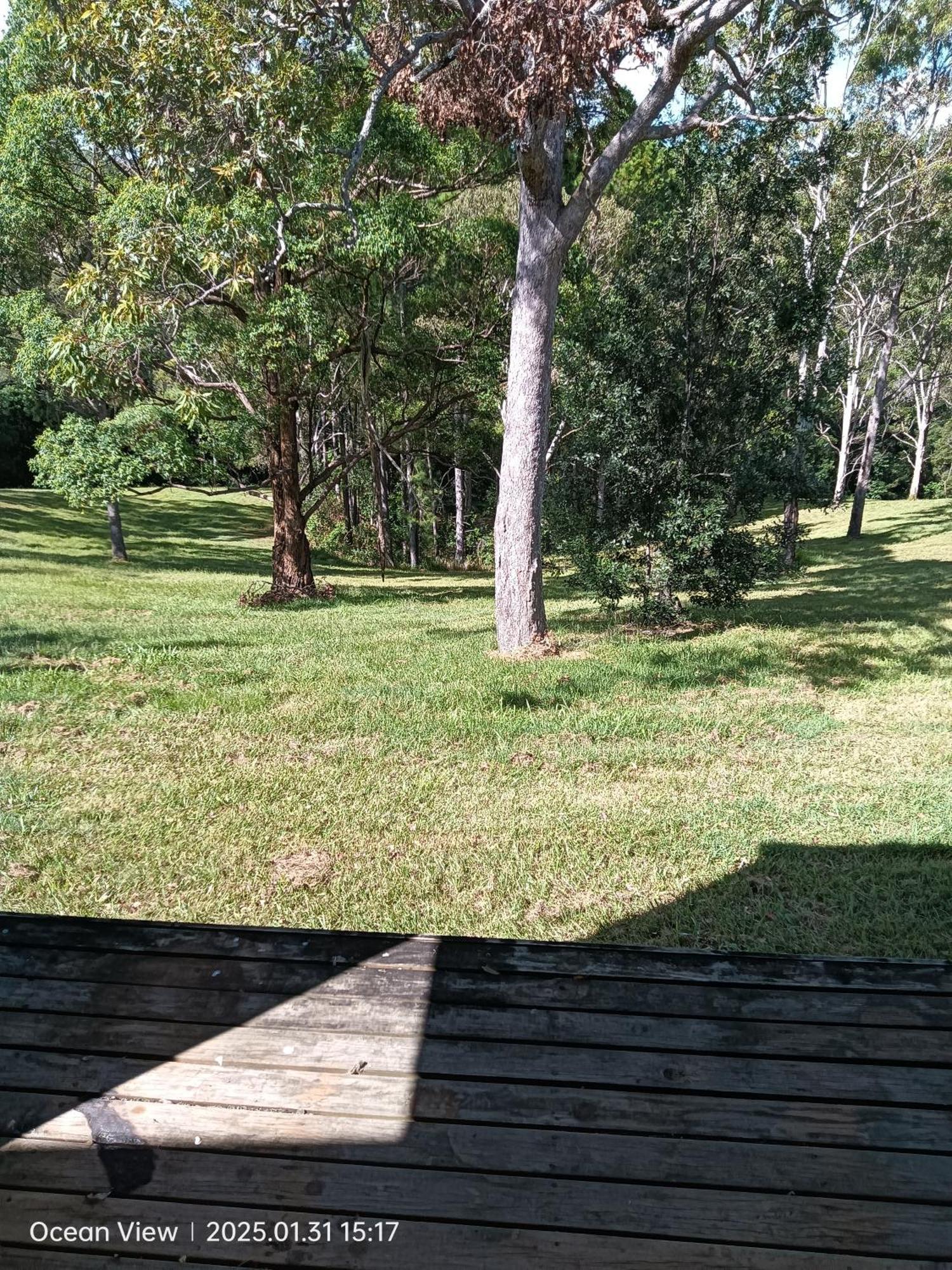 Cabins @ The View Ocean View المظهر الخارجي الصورة