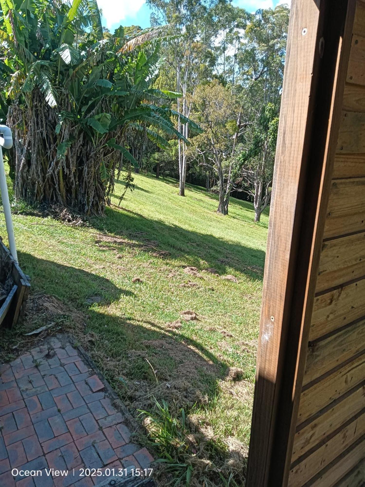 Cabins @ The View Ocean View المظهر الخارجي الصورة